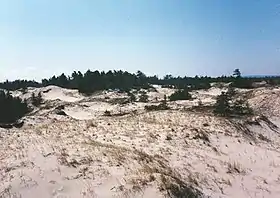 Dune du sud de l'île Manitou du Nord