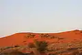 Dunes de sable rouges