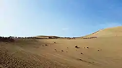 Caravane près de Dunhuang dans le Gansu.