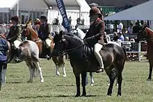 Poney marron et noir monté par une jeune fille.