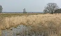 Dwingelderveld, le panorama