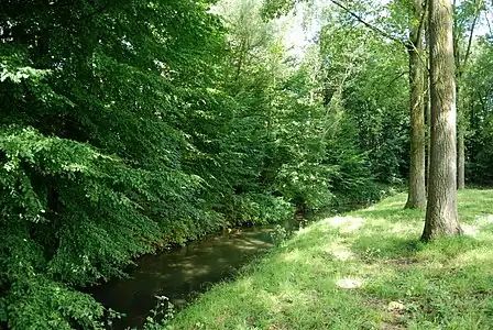 La Dyle à la sortie d'Ottignies.