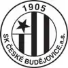 Ancien logo du club