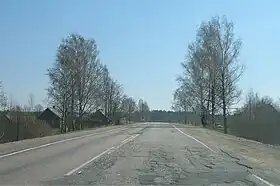 La E95 près de Zyjkovo en Russie.