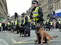 Présence policière pour encadrer une manifestation de l'EDL, le 29 mai 2010.