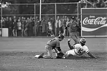 Championnat d'Europe de baseball à Haarlem, Pays-Bas contre Italie Ciccone, 1977
