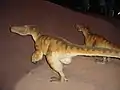 Velociraptor (Dinosauria, Theropoda)
