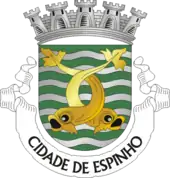 Blason de Espinho