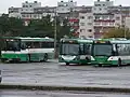 Bus rue Ümera.