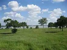 Vue d'une prairie avec des arbres et un lac en arrière-plan.