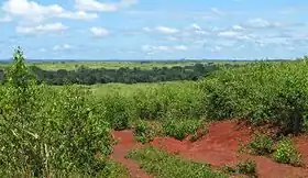 Région de l'Est (Cameroun)