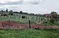 La frontière renforcée avec des miradors, des champs de mines et des barbelés en 1962.