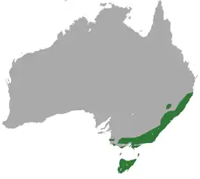 Description de l'image Eastern Pygmy Possum area.png.