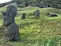 Sur les pentes du Rano Raraku…