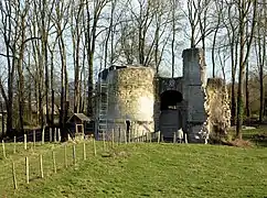 Ruines du château (février 2009).