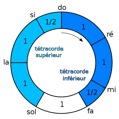 Représentation cyclique de l'échelle diatonique