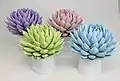 Echeverias peintes pour décoration