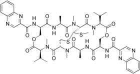 Image illustrative de l’article Échinomycine