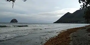 En  2018, échouage de sargasses sur la plage.