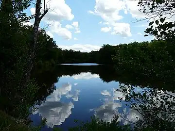 L'étang des Eymouchères.