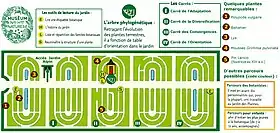 Image illustrative de l’article École de botanique