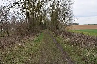 Le tracé de l'ancienne voie ferrée.