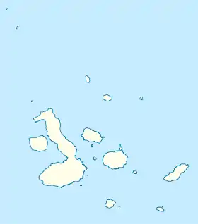 Flancs du volcan Wolf, domaine de l'Iguane rose des Galapagos. Localisation.