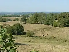 Paysage vers Écuras.