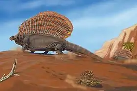 Reconstitution par Dimitri Bogdanov d’Edaphosaurus, un pélycosaure herbivore et, à ses pieds, Platyhystrix, un amphibien, sont pourvus de voiles thermorégulatrices, adaptations aux contrastes thermiques journaliers.