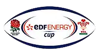 Description de l'image Edf Energy Cup logo.png.