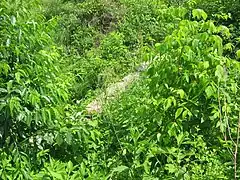 La Brunett's Creek Arch.