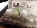 Aubergine œuf entre deux œufs de poule.