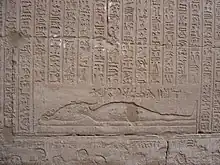 photographie de hiéroglyphes