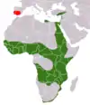 Aire de répartition de la Mangouste d'Égypte