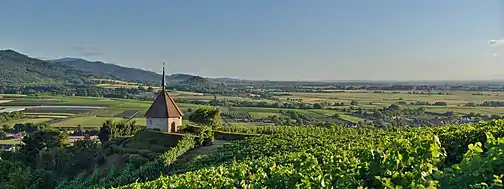 Paysage du fossé rhénan à Ehrenkirchen, au pied de la Forêt-Noire.