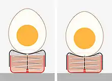 Le pique-œuf met la chambre à air en contact avec l'extérieur sans percer la membrane coquillière interne.