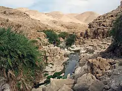 Oasis près de Jéricho dans le désert de Judée.
