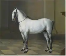 Peinture d'un cheval blanc vu de profil.