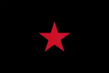 Ejército Zapatista de Liberación Nacional, Flag