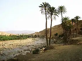 Oasis El Oualdja au sud de Khenchela, dans les Aurès.