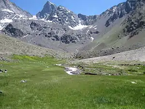 Pelouse alpine au monument naturel El Moradomonument naturel El Morado, 2011