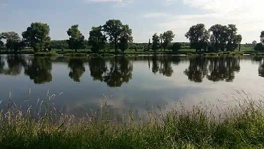 L'Elbe à Horní Počaply.