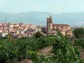 Vue panoramique de Elciego d'un rang de vigne