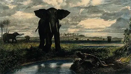 Éléphants et une panthère dans le désert indien, lithographie d’après une œuvre d'Alexandre-Gabriel Decamps.
