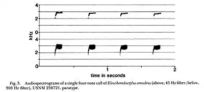 Extrait du spectre sonore d'Eleutherodactylus amadeus (1987) ;