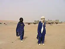 deux éleveurs peuls, habillés en bleu et avec un turban, des chaussures blanches. Leur troupeau de vaches derrière