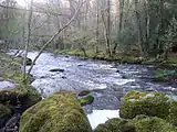 La rivière Ellé un peu en aval de l'abbaye de Langonnet.