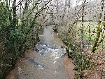 L'Elle au pont entre Charpenet et Lavilledieu.