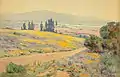 California Spring Landscape, vers 1920, Smithsonian American Art Museum