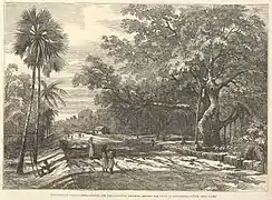 Le tracé de la ligne de Calcutta, derrière la ville de Serampore